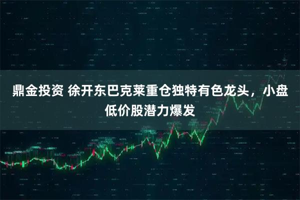 鼎金投资 徐开东巴克莱重仓独特有色龙头，小盘低价股潜力爆发