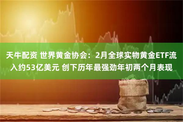 天牛配资 世界黄金协会：2月全球实物黄金ETF流入约53亿美元 创下历年最强劲年初两个月表现